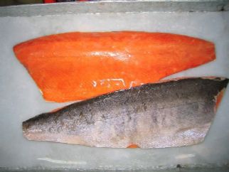 frozen chum salmon fillets